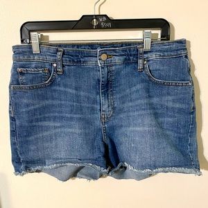 GAP Raw Edge 1969 Denim Shorts Size 10/30